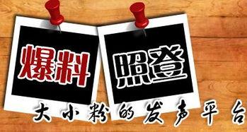 爆料新闻的平台叫什么,爆料新闻平台背后的真相